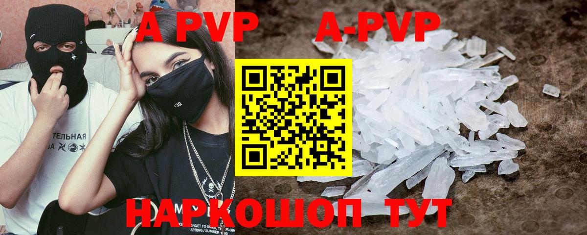 A PVP СК КРИС Новосибирск