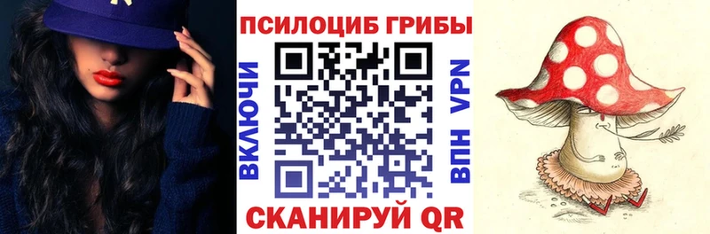 Галлюциногенные грибы Psilocybine cubensis  Новосибирск 